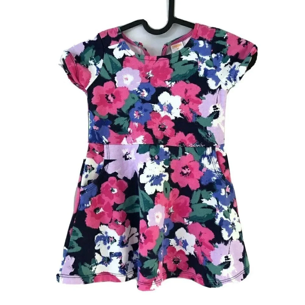 Gymboree Girls Size 2T Blue Pink Floral Short Sleeve Dress